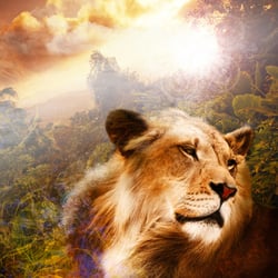 Photoshop