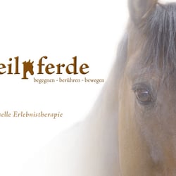 Cover Image Broschüre der Heilpferde