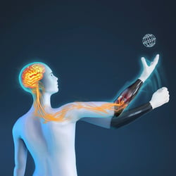 Rendering for prosthetic arm (MakeHuman, Blender, Rhino, Keyshot, Photoshop)