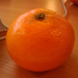 klein ganz groß