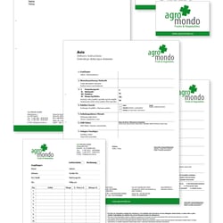 Geschäftsausstattung – Visitenkarten (beidseitig), Briefbogen, Rechnung – Lieferschein, Transportauftrag, AVIS