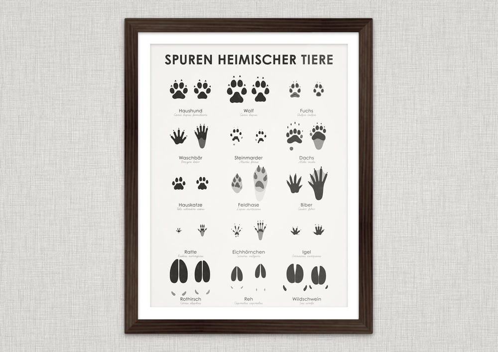 Heimische Tierspuren (Hidden Tracks)