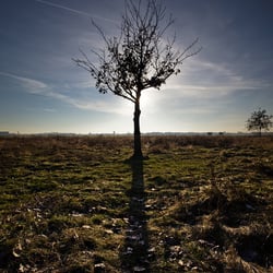 Tempelhof