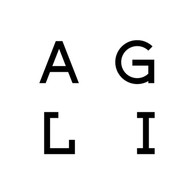 Agnes Lison