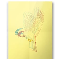 Werkschau_Illustration