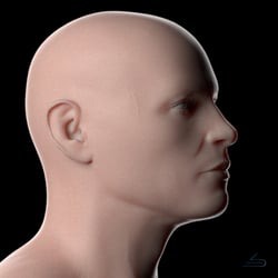 Human Head WIP