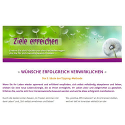 SEO AGENTUR Frankfurt