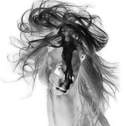 cheval
