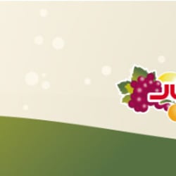 Header Homepage Juicy Beats 12