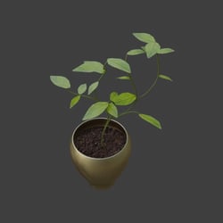 Plant Rend