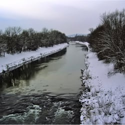trüber Wintertag 8818k