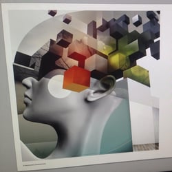 editorial work in progress