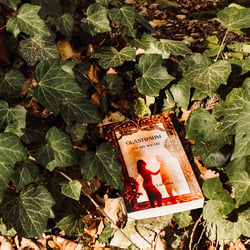 Buchcover – Glastraum von Ingo Litschka