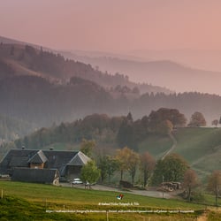 #Stohren #Münstertal #Schwarzwald #Freiburg #Black forest #Herbs #Colorful #Hill #Landscapes #Germany