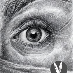 „Auge“