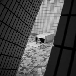 IMG 8777