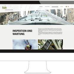 TSN Webseite