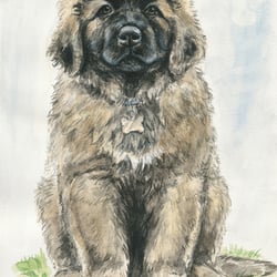 Aquarell