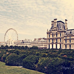 parisyrueda