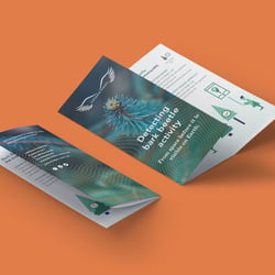 Viridian Raven Flyer