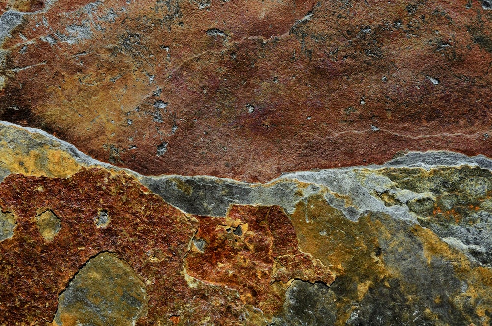 DSC2298 01 1