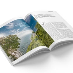 33 % Das Waldmagazin