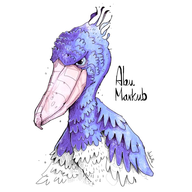 Abu Markub