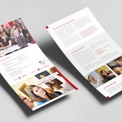 Faltblatt mentoring dok