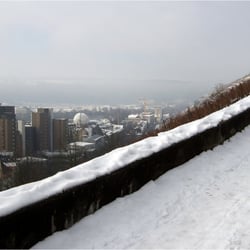 Winter im Weinberg 4924k