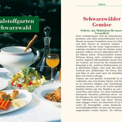 Kapitel-Aufmacher