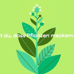 Bildschirmfoto 2023−11−08 um 19.40.13