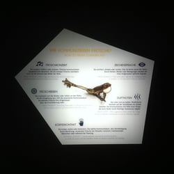 Infotafel, Ausstellung Frogs & Friends e.V, Zoo Wien