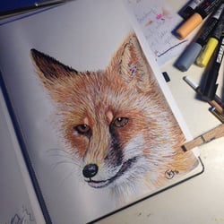 Fuchs Entwurf Digitalprint