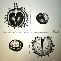 VerenaFaeth Chestnuts Ink