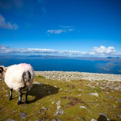 Croagh Patrick