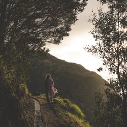 Wander Content Creation Madeira