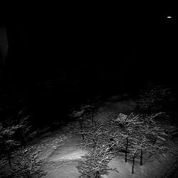 winter