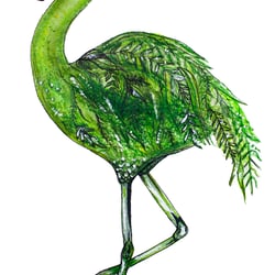 flamingo aquarell