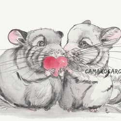 Chinchilla-Liebe
