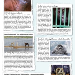 Flyer für eine Naturschutzorganisation
