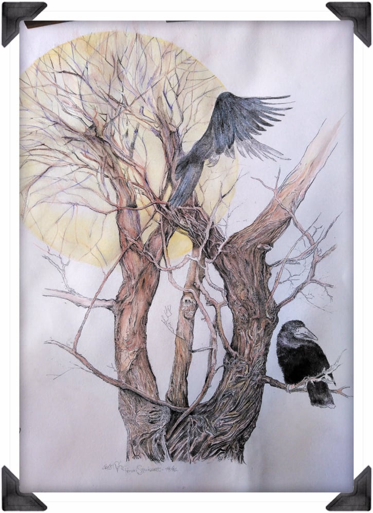 „Die Krähe und der Rabe“ Lithographie. Koloriert.2018. Georg Perakis Stukart. 14/16