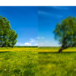 Feel Green