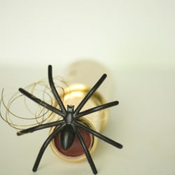Kosmetik Nov. 2012