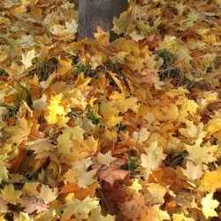 Herbst…Oktober 2012 Teil 02