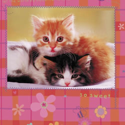 cats3