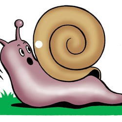 Schnecke
