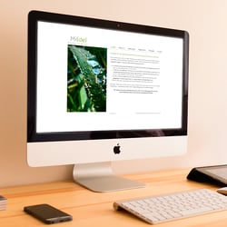 Webdesign Wordpress-Lösung: Unternehmensberatung