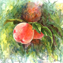 Sunny Peaches