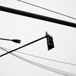 UNTITLED by caro lenhart