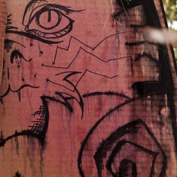 BonsaiKitten – Detail nach 9 Tagen